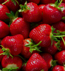 Low-Fat Strawberry Smoothie Recipe for a Healthy Boost