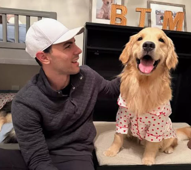 Dog Bedtime Routine: A Special Way to End the Day Dog Bedtime Routine