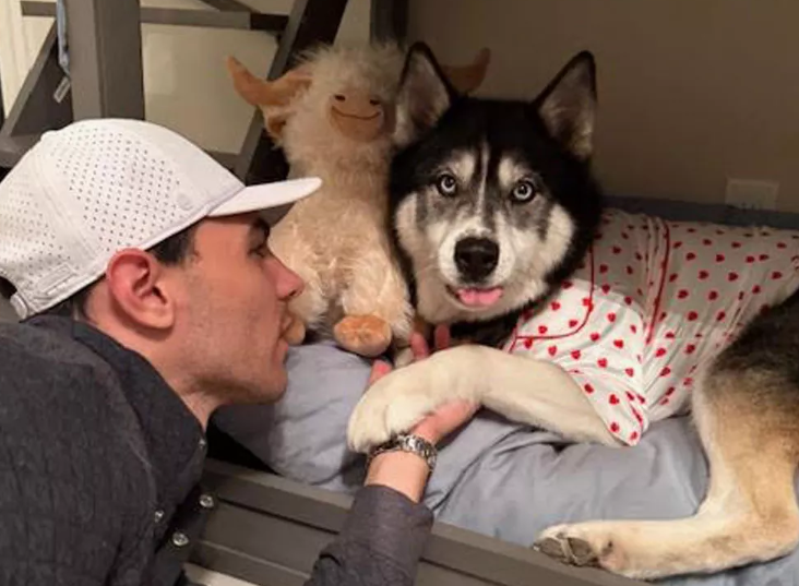 Dog Bedtime Routine: A Special Way to End the Day Dog Bedtime Routine