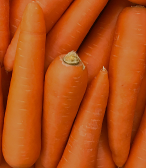 Carrot Cake Recipe with Maple Cream Cheese Frosting
