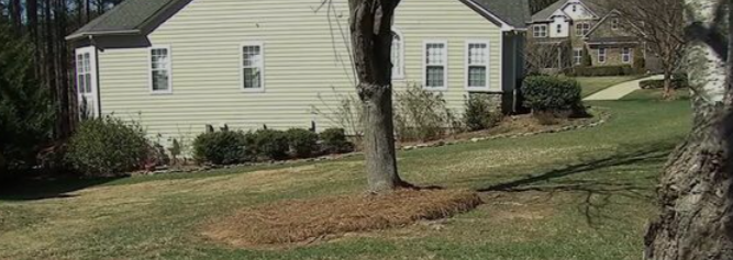 HOA Fines Georgia: Residents Fear Unfair Penalties HOA Fines Georgia