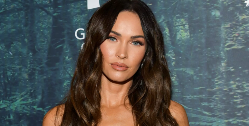 Megan Fox Co-Parenting With Machine Gun Kelly Post-Baby Megan Fox Co-Parenting