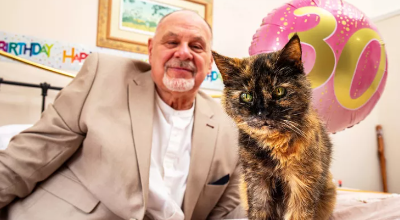 30-Year-Old Cat Birthday