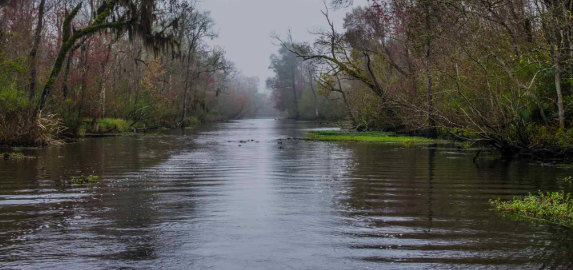 Louisiana Fisherman Rescue: Elderly Man Saved from Mud Louisiana Fisherman Rescue