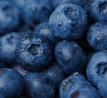 Healthy Blueberry Muffin Recipe for a Nutritious Snack