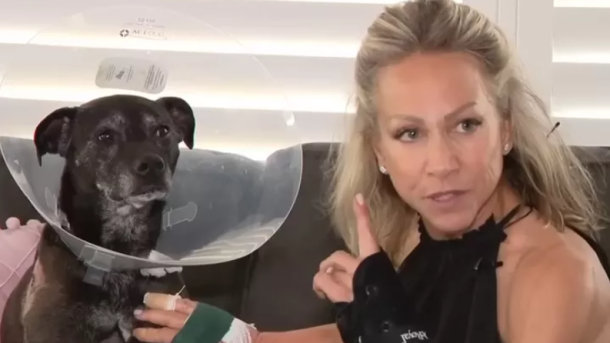 Dog rescued from alligator Florida