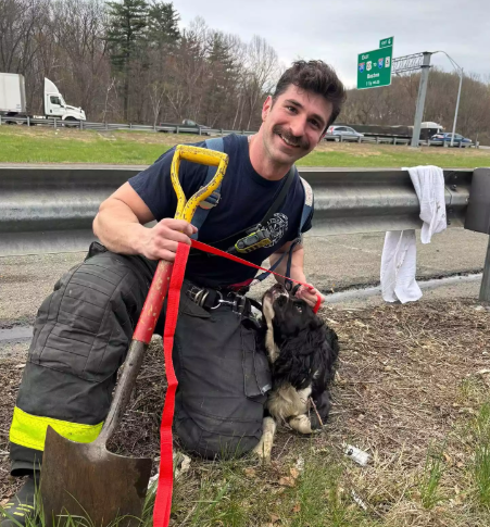 Dog Rescued From Storm Drain Reunites With Family Dog Rescued From Storm Drain
