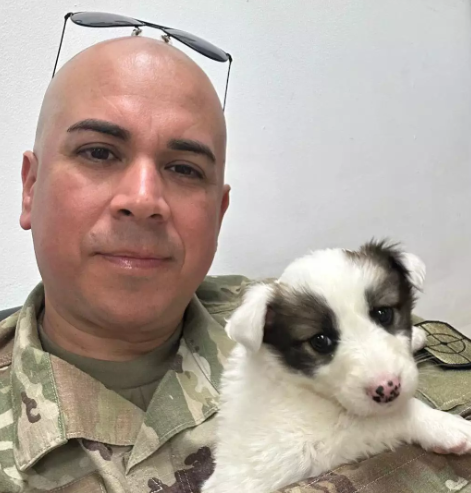 Paws of War Helps Soldier Rescue Puppy from Middle East Paws of War