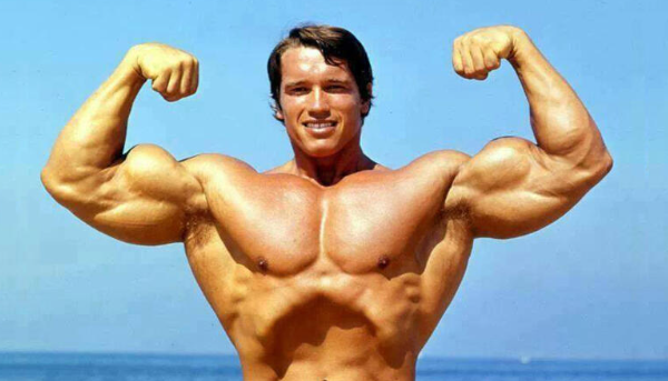 Arnold Schwarzenegger Protein Intake and Health Myths Arnold Schwarzenegger Protein Intake