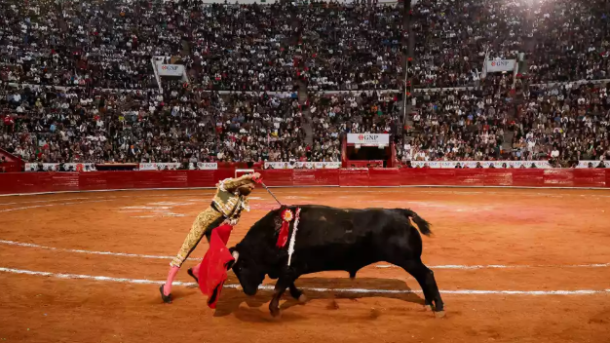 Mexico City Bullfighting Ban
