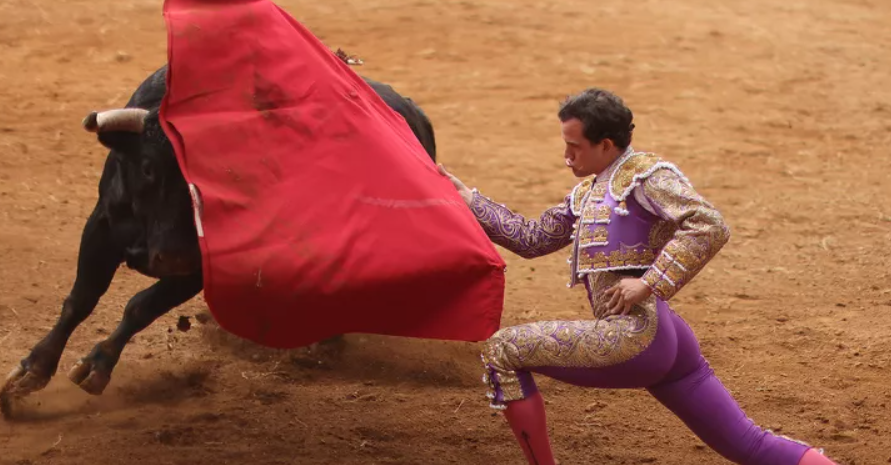 Mexico City Bullfighting Ban Officially Enforced Mexico City Bullfighting Ban