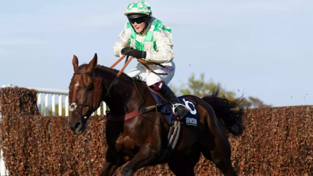 Celebre D'Allen Grand National