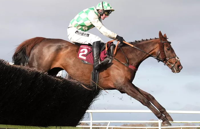 Celebre D'Allen Grand National Horse Dies After Race Celebre D'Allen Grand National