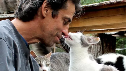 Happy Cat Sanctuary fire