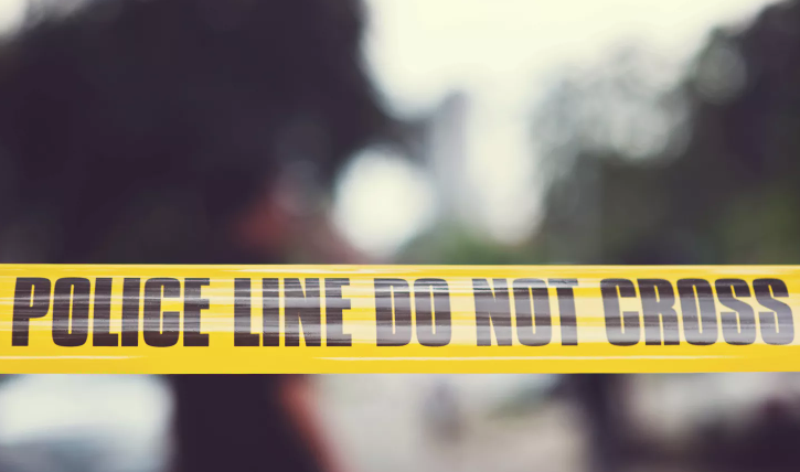 Atlanta Horse Death Shocks Peachtree Street Residents Atlanta Horse Death