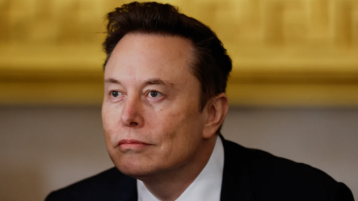 Elon Musk Social Security Fraud