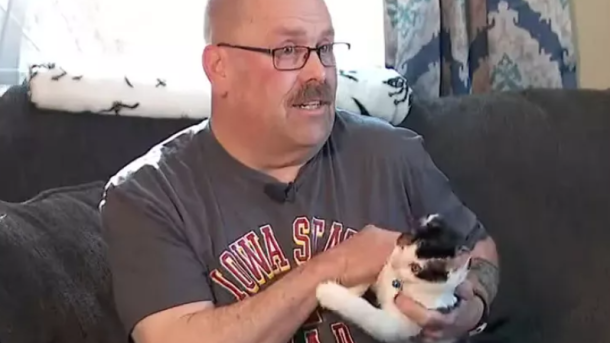 Coon Rapids Kitten Rescue