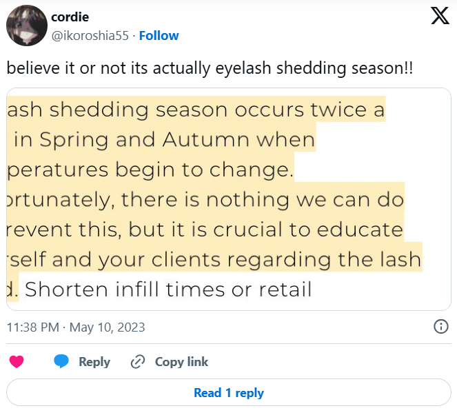 Seasonal Eyelash Shedding: Understanding the Cycle Seasonal Eyelash Shedding