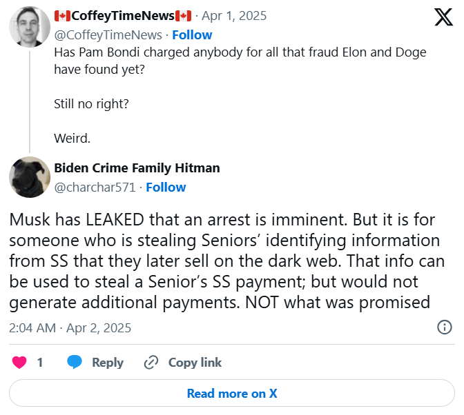 Elon Musk Social Security Fraud
