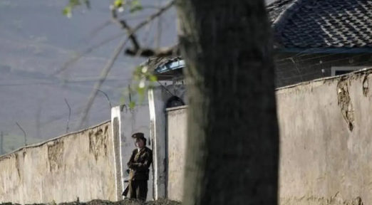 North Korea Prison Torture: Unveiling Brutality and Horror North Korea Prison Torture