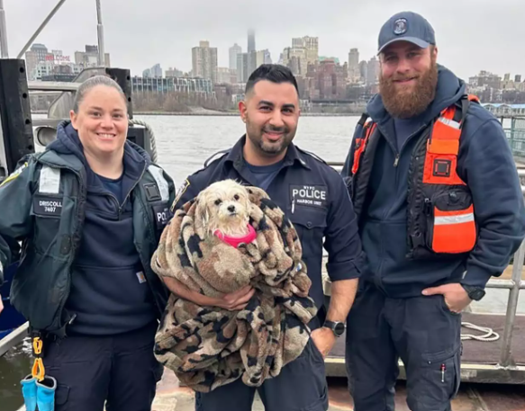 NYPD Dog Rescue East River