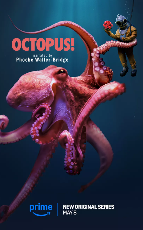 Octopus Documentary: A Deep Dive into Their Mysteries Octopus Documentary
