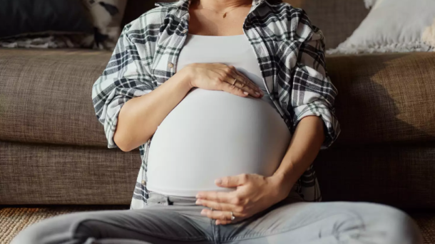 Reddit AITA Pregnant Woman Houseguest