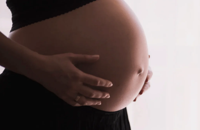 Reddit AITA Pregnant Woman Houseguest Conflict Reddit AITA Pregnant Woman Houseguest