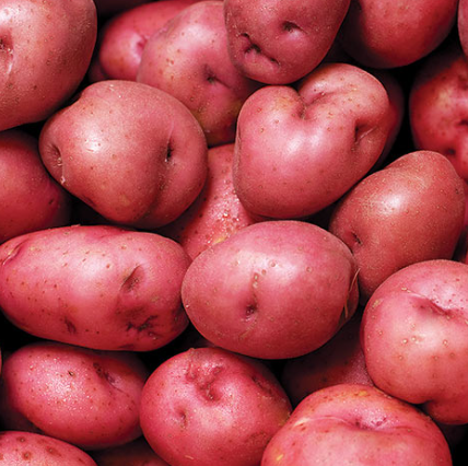 Warm Potato Salad Recipe: A Creamy and Tangy Side Dish