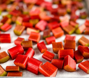 Rhubarb Cake Recipe – Oma’s Classic Sour Cream Cake