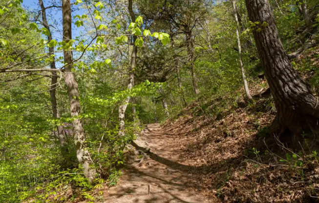 Starved Rock State Park Rescue