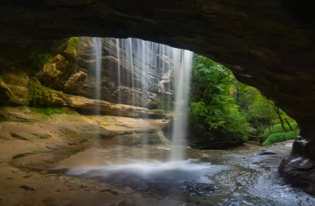 Starved Rock State Park Rescue