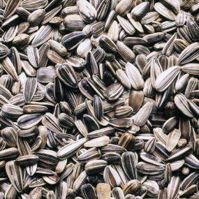 Healthy Muesli Recipe: A Wholesome Breakfast for You