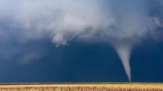 Alabama Tornado March 2025