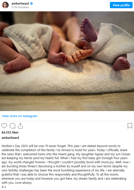 Amber Heard Twins: Actress Welcomes Agnes & Ocean Amber Heard Twins