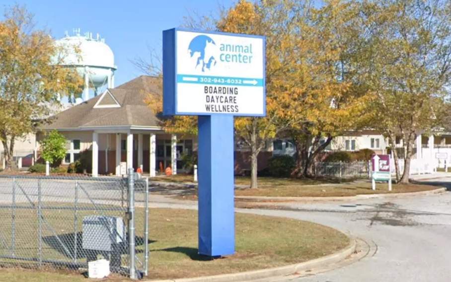 Delaware Bird Rescue
