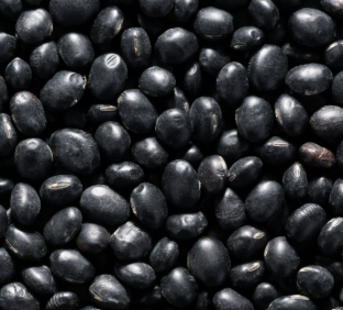 Black Bean Breakfast Bowl: Quick & Healthy Start To Your Day