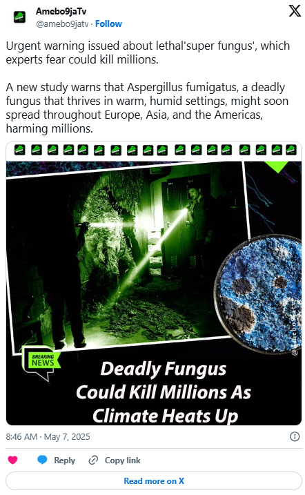 Aspergillus Fumigatus Climate Change: A Growing Threat Aspergillus Fumigatus Climate Change