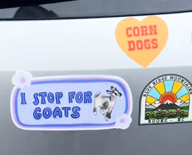 Baby Goats Viral TikTok Brings Unexpected Happiness Baby Goats Viral TikTok