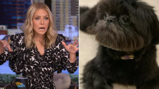 Kelly Ripa Missing Dog Lena