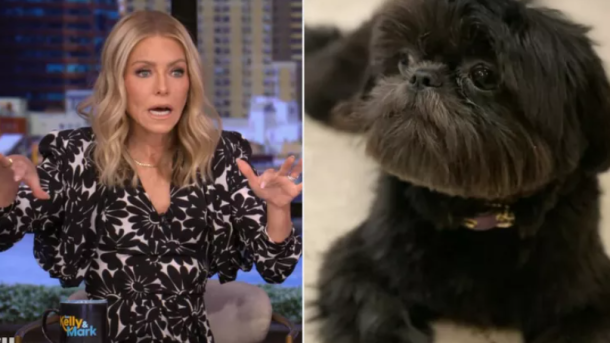 Kelly Ripa Missing Dog Lena
