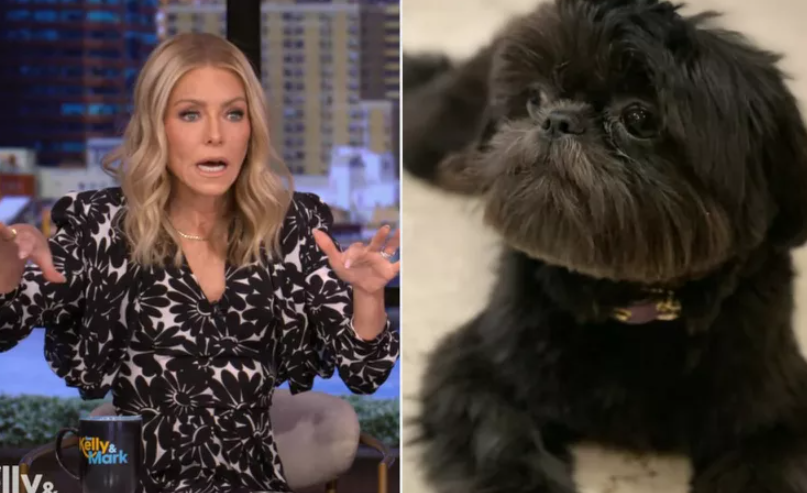 Kelly Ripa Missing Dog Lena Scare In Palm Springs Kelly Ripa Missing Dog Lena