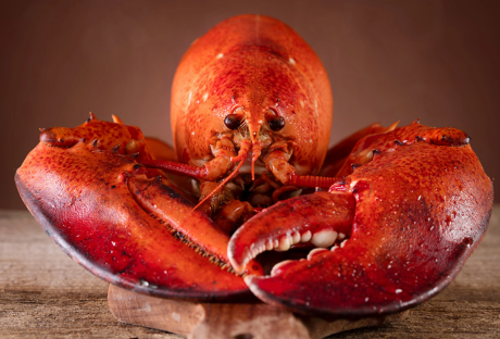 Air Fryer Lobster Tails With Lemon-Garlic Butter Recipe