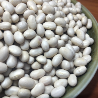Homemade Baked Beans: Sweet, Tangy & Made from Scratch