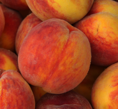 Fresh Peach Dessert Recipe – Easy No-Bake Summer Treat