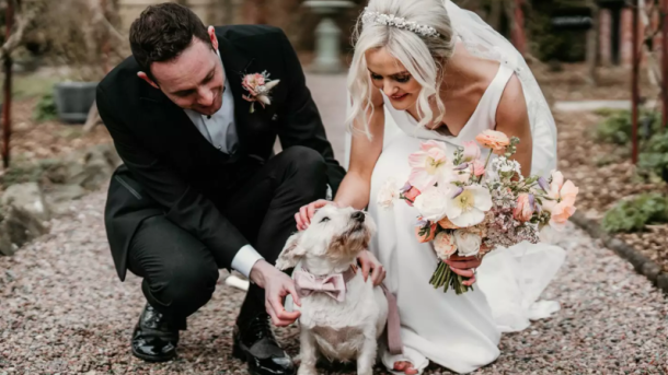 Dog Wedding Chaperone