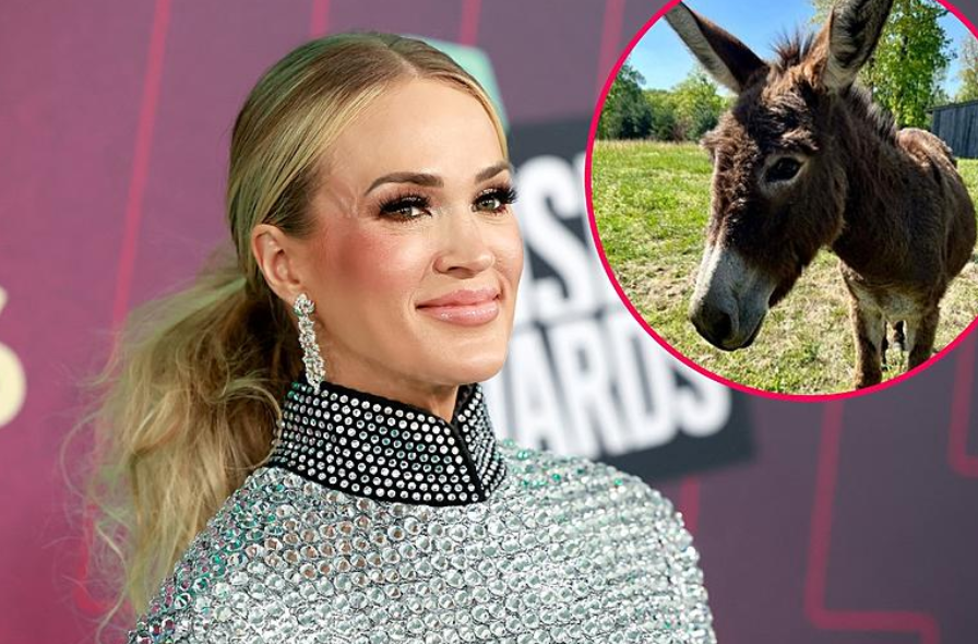 Carrie Underwood Rescue Puppy Joins Her Farm Family Carrie Underwood Rescue Puppy