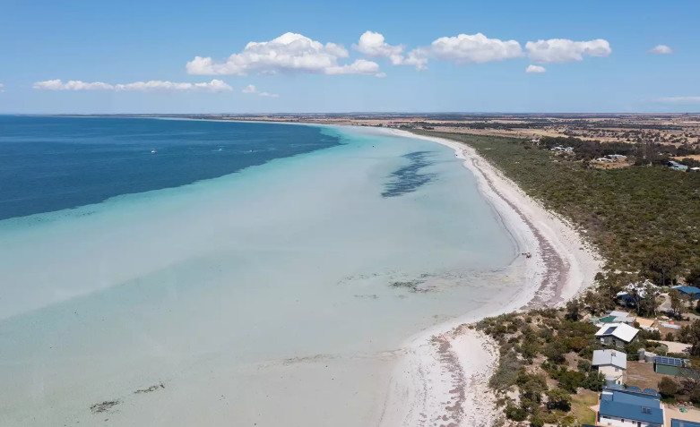 Stingray Attack South Australia Leaves Woman Injured Stingray Attack South Australia