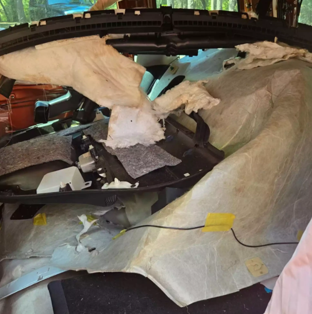 Bear Breaks Into Car California