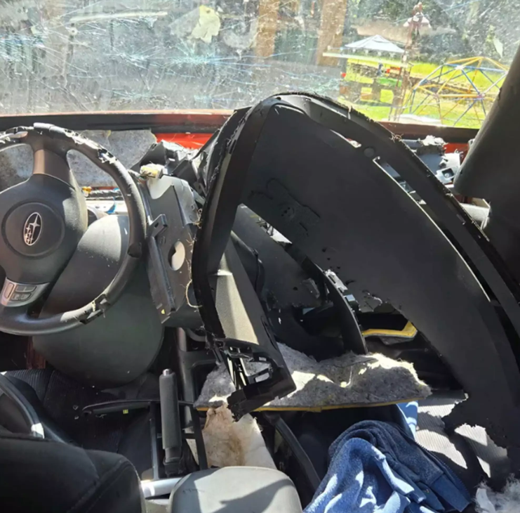 Bear Breaks Into Car California